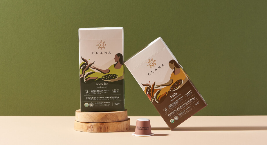 PTC-FMS – Power Transmission &amp; Control Fleet Management System